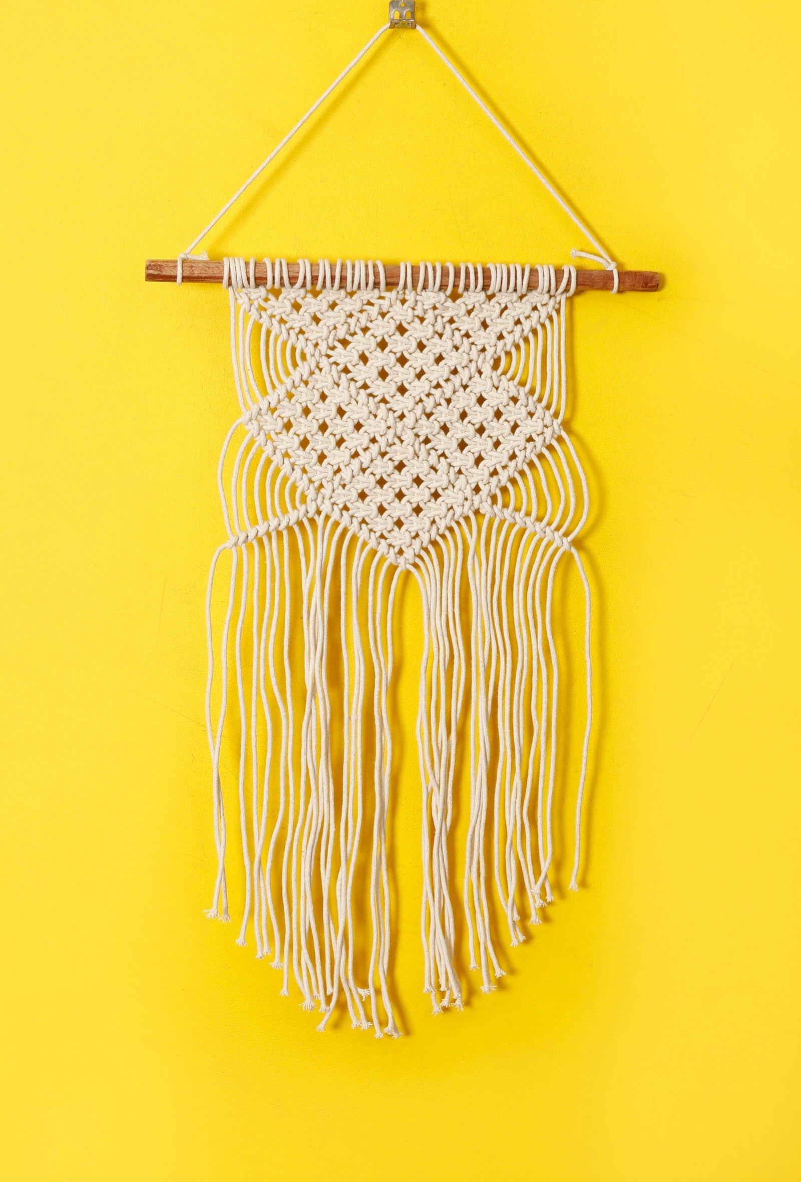 Knotted Macrame Wall Hanging