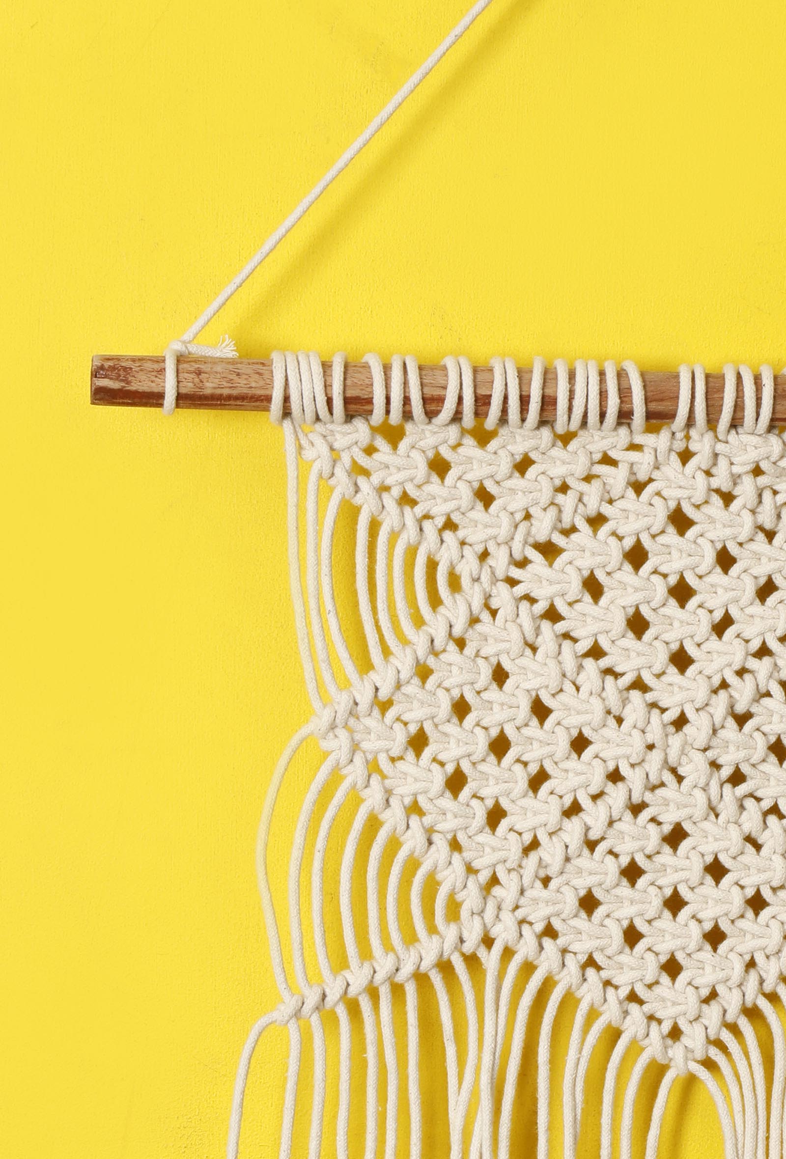 Knotted Macrame Wall Hanging