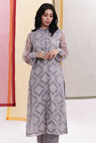 Cloud Grey Brasso Organza & Plain Organza Straight Kurta