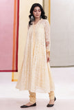 Light Yellow Brasso Organza Kalidar Angrakha Overlay Kurta