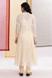 Light Yellow Brasso Organza Kalidar Angrakha Overlay Kurta
