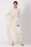 Cream Chickoo Net Dupatta