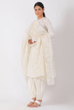 Cream Chickoo Net Dupatta