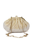 White and Golden Embellished Clutch Bag