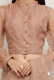 Beige Pure Banarasi Organza Sheer Sleeve Blouse