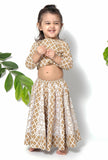 Set of 2 - Aurora Brown Floral Cotton Blouse and Lehenga