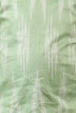 Set of 2: Green Ikat Straight Kurta with Sharara pants