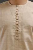 Classic Beige Cotton Slim Fit Shirt